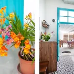Bougainvillea Garden * Nicosie