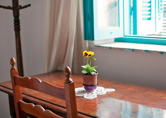 Bougainvillea Garden * Nicosia