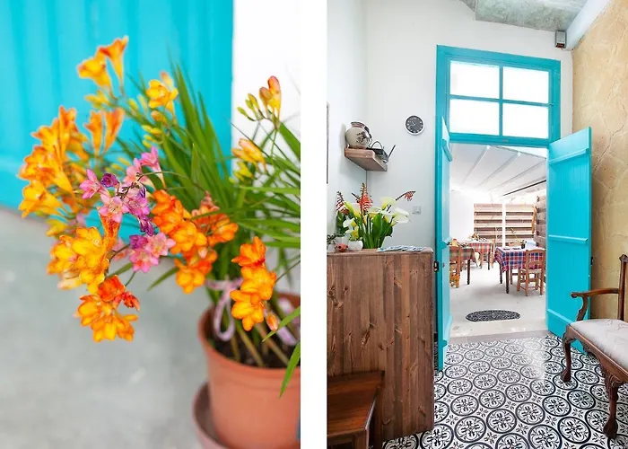 Bougainvillea Garden * Λευκωσία